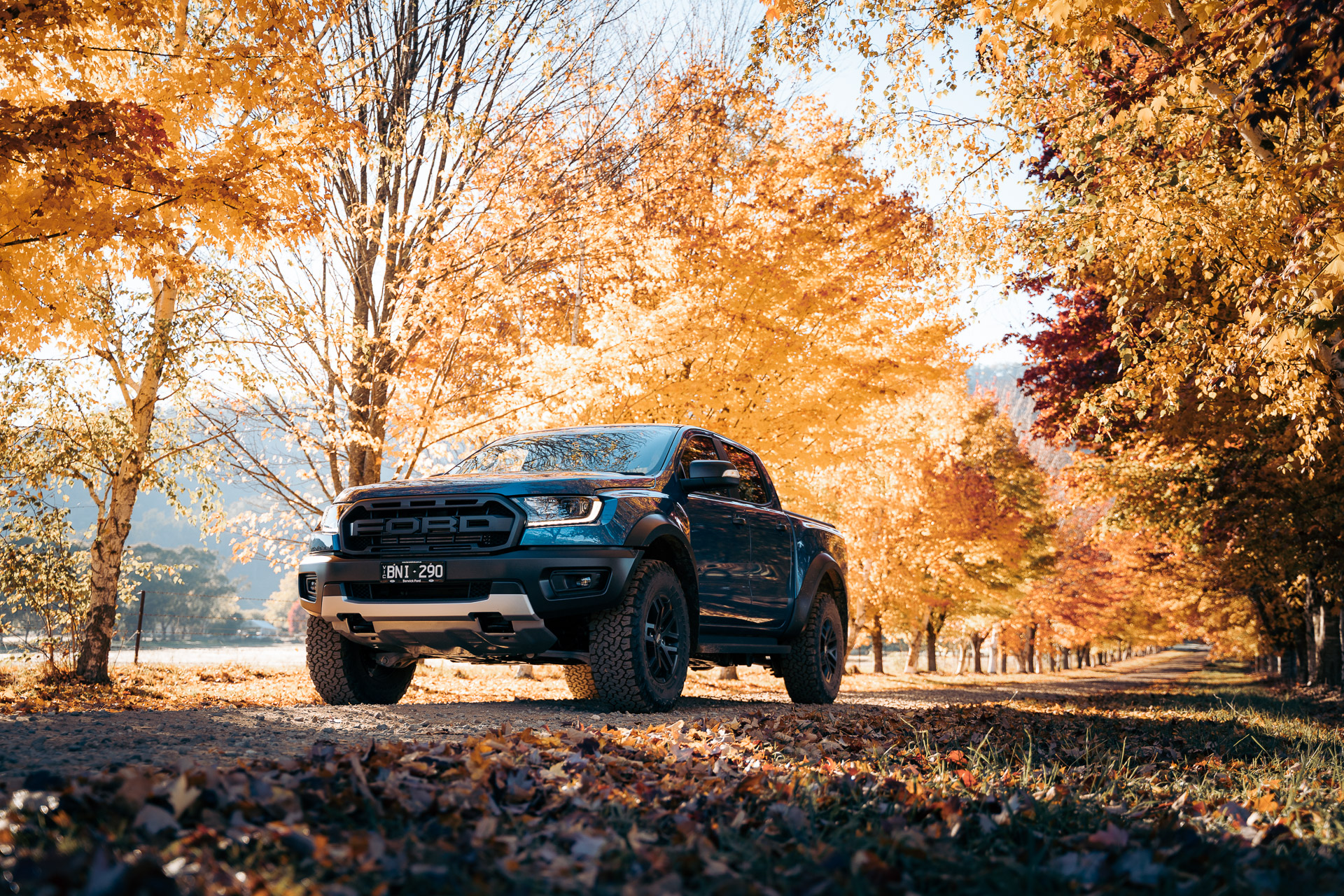 Ford 2