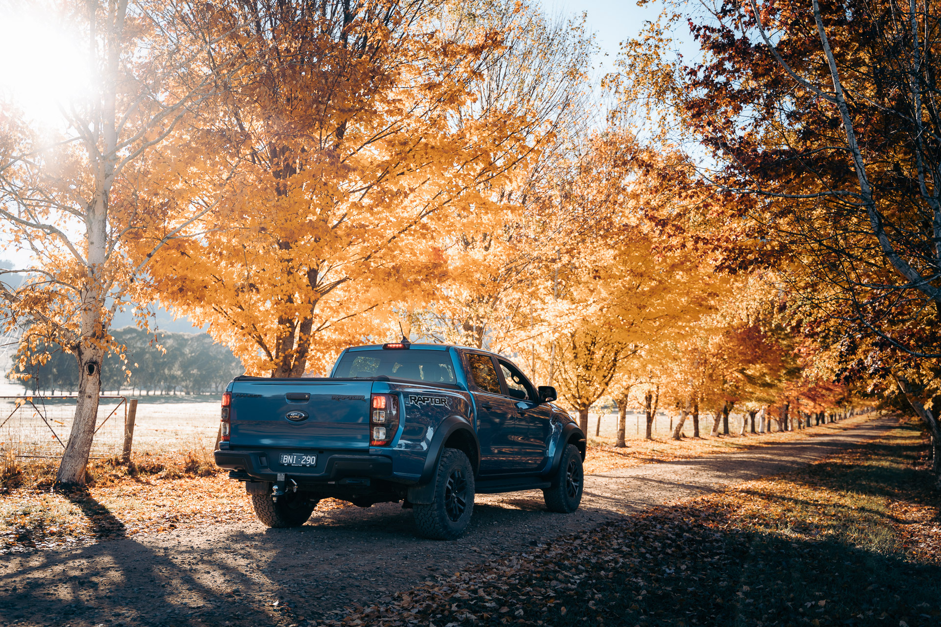 Ford 5