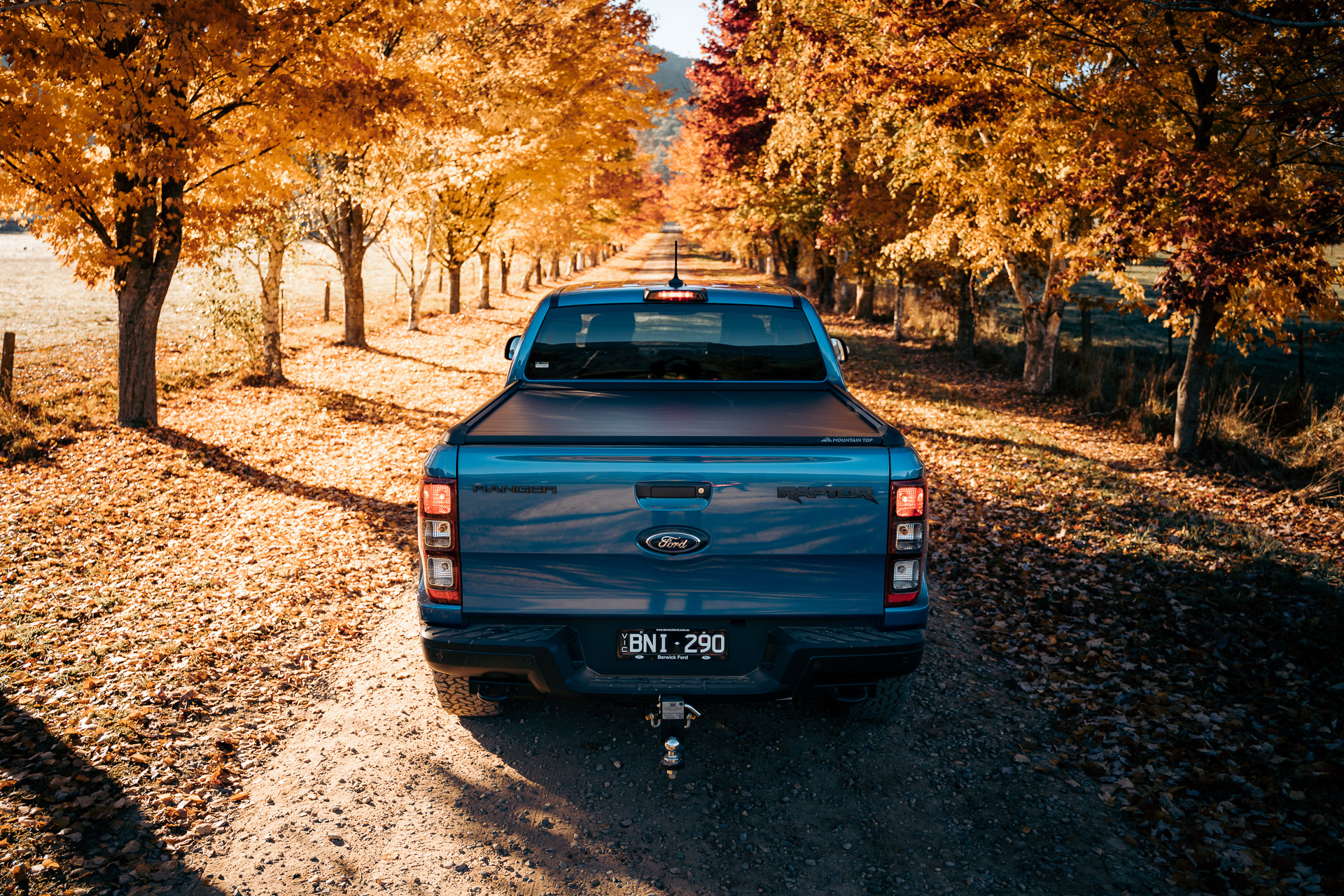 Ford 7